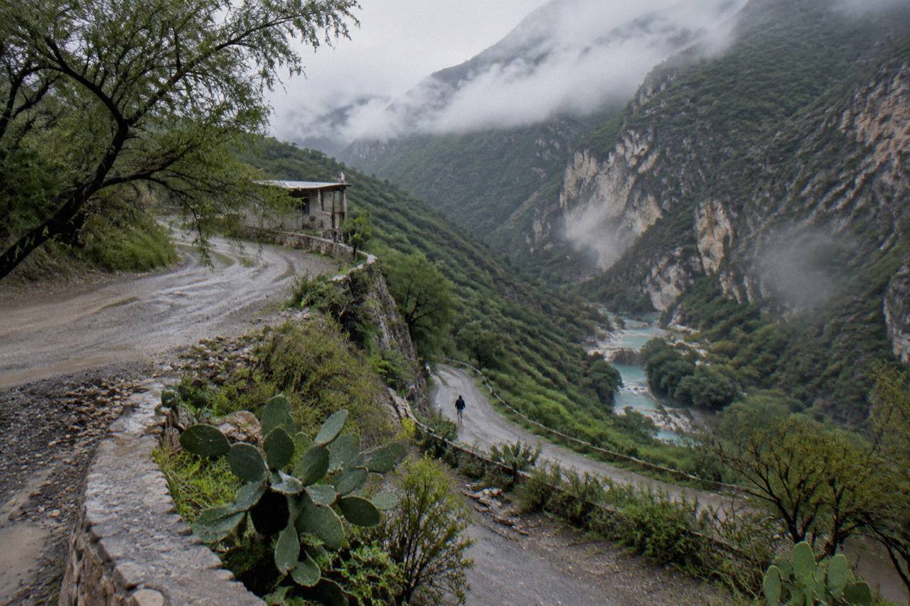Mountain road winding down into a deep green canyon